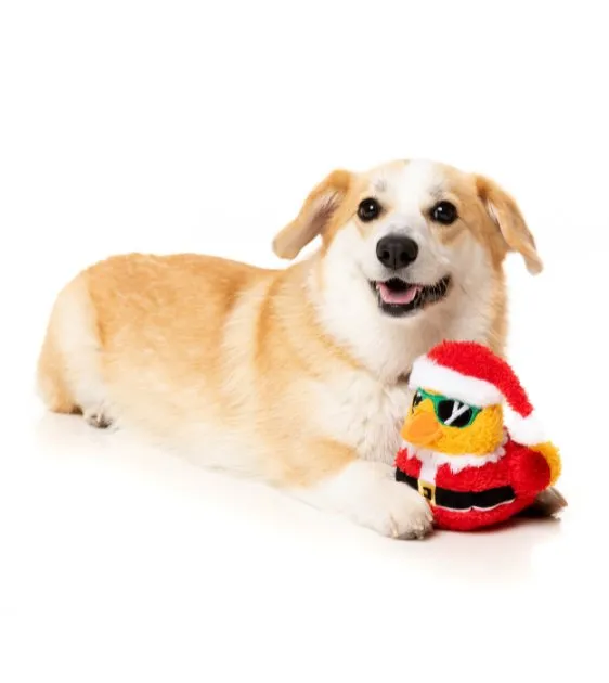 FuzzYard Christmas Dog Toy (Christmas Quacker)