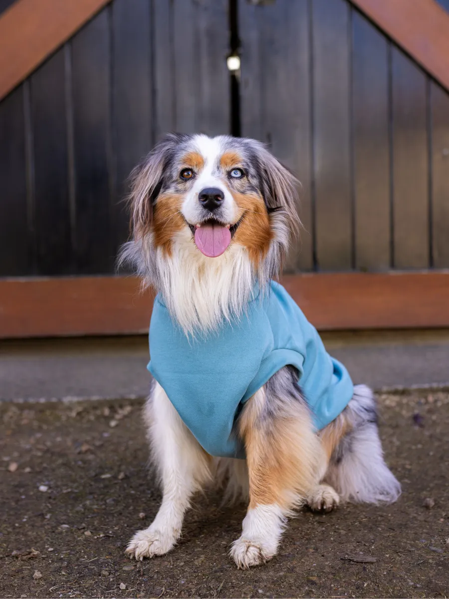 Goose Egg Sleeveless Dog Turtleneck