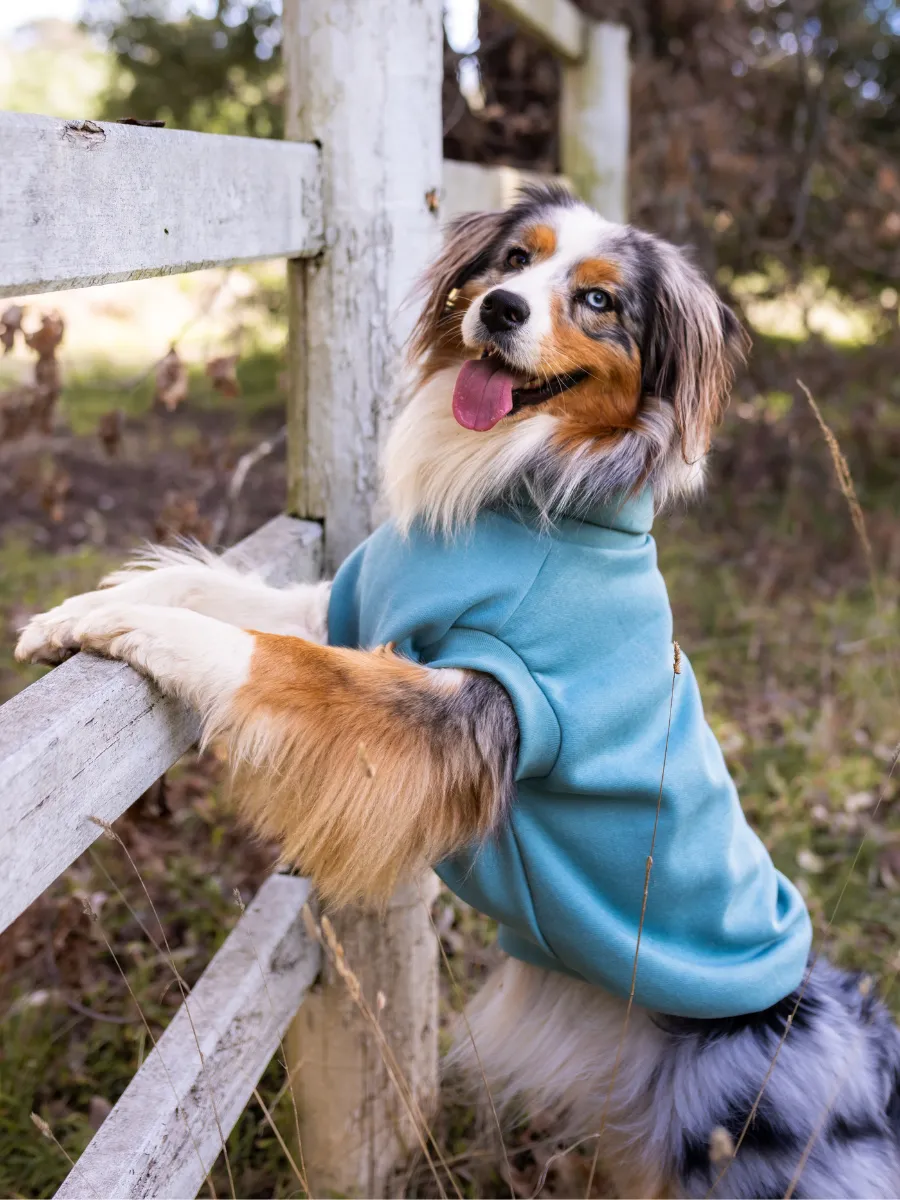 Goose Egg Sleeveless Dog Turtleneck