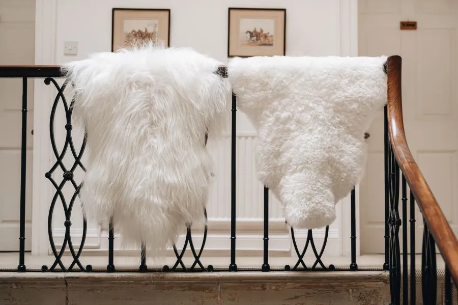 Icelandic Sheepskin Rug White (Short Wool)