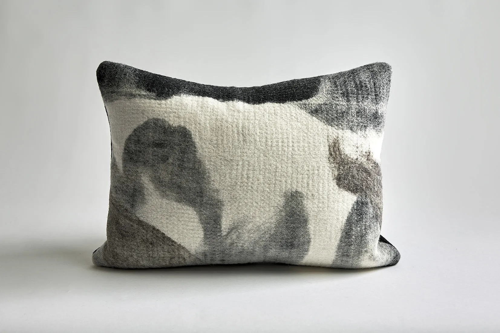 Milky Way Wool Throw Pillow, INSPIRED BY ARTIST STEVEN SEINBERG