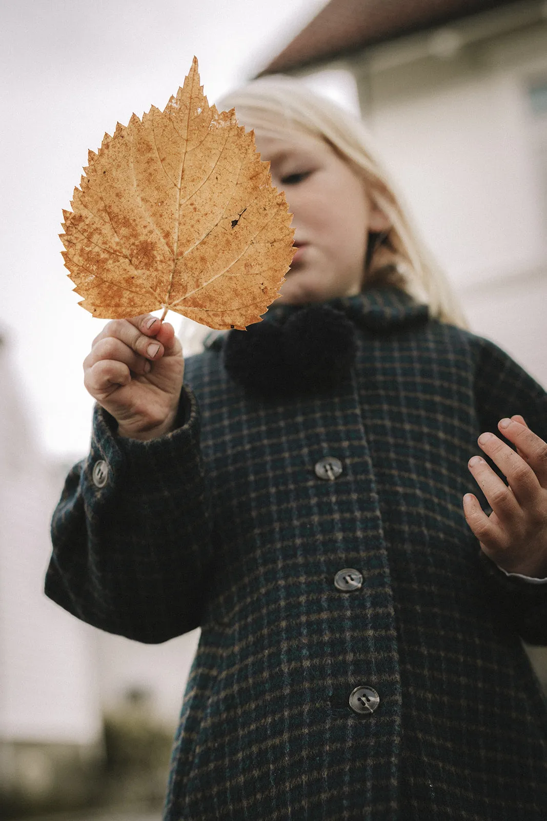 Odalyn Jacket, Jacket - Checkered